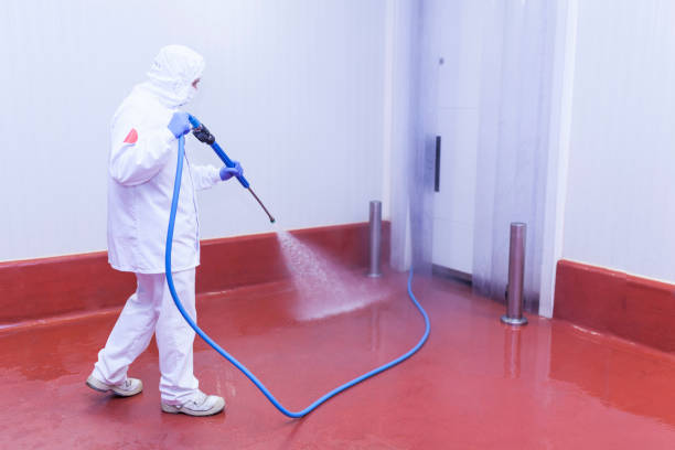 Professional Pressure Washing in Atlantis, FL